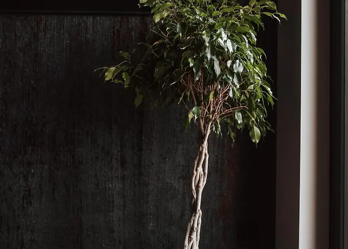 Casa vacanze Ptasia Ferajna - Caloroczne W Dolinie Baryczy *